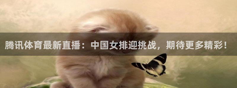 腾讯体育最新直播：中国女排迎挑战，期待更多精彩！