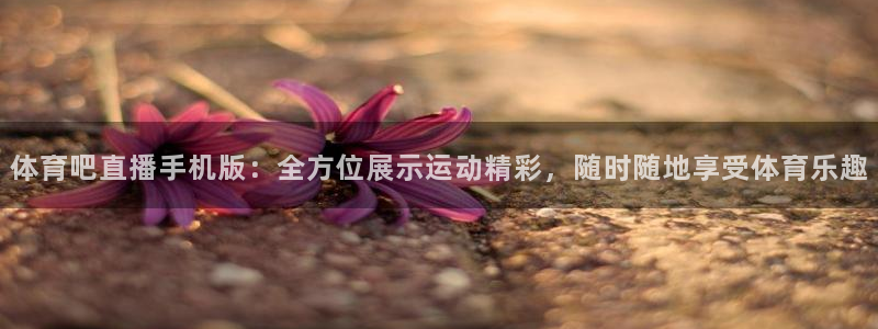 体育吧直播手机版：全方位展示运动精彩，随时随地享受体育乐趣